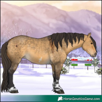 Horse Color:Buckskin Dun Sabino Tobiano