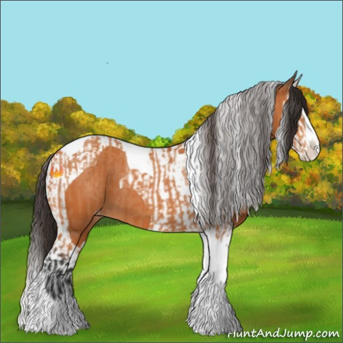 Horse Color:Bay Splash Tobiano Appaloosa  and Bay Splash Tobiano Appaloosa 