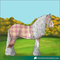 Horse Color:Plaid  Silver Bay Dun Sabino Tobiano Rabicano 