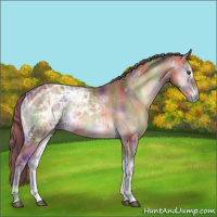 Horse Color:Nacre Red Onyx Ice