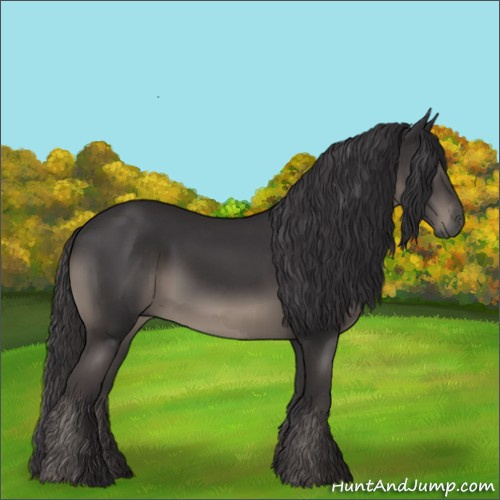 Horse Color:Smoky Black 