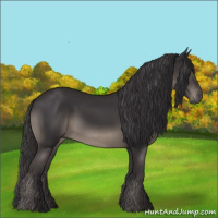 Horse Color:Smoky Black 