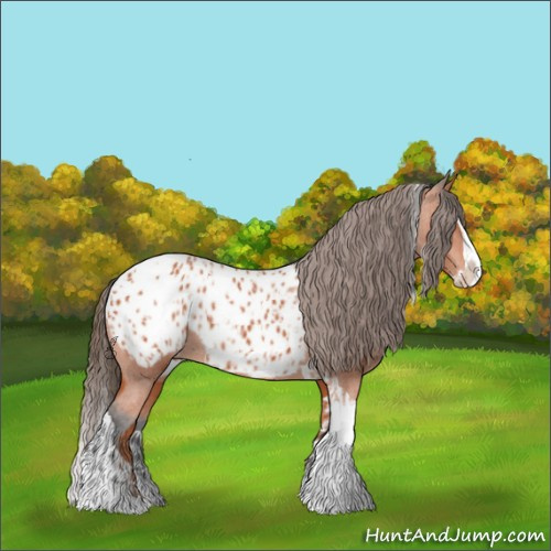 Horse Color:Bay Splash Tobiano Appaloosa  and Bay Splash Tobiano Appaloosa Rabicano 