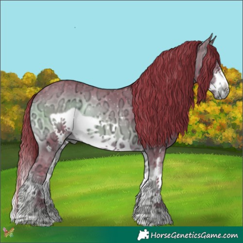 Horse Color:Watercolor Liver Red Onyx Ice Sabino Splash Frame 