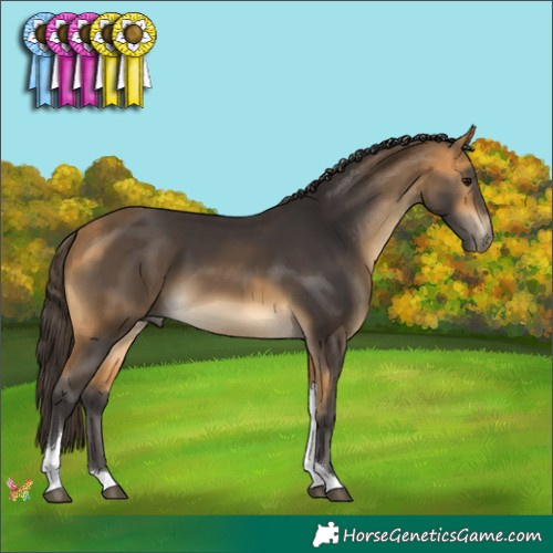 Horse Color:Buckskin Tobiano 