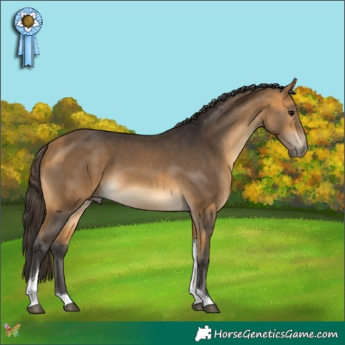 Horse Color:Buckskin Tobiano 