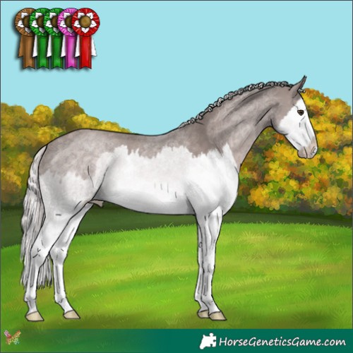 Horse Color:Platinum Chocolate Palomino Splash 