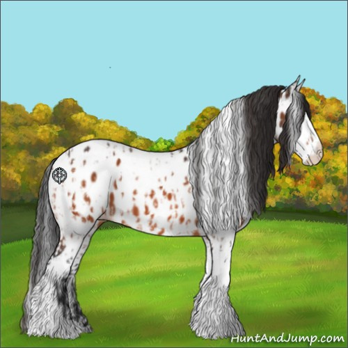 Horse Color:Brown Splash Tobiano Near Leopard  and Brown Splash Tobiano Near Leopard 