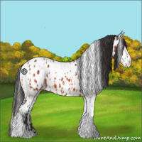 Horse Color:Brown Splash Tobiano Near Leopard  and Brown Splash Tobiano Near Leopard 