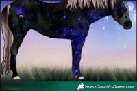 Horse Color:ERROR: UNKNOWN ANOMALY