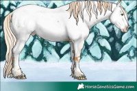 Horse Color:White Spotted Gold Cream Champagne Tobiano Near Fewspot Rabicano 