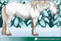 Horse Color:White Spotted Gold Cream Champagne Tobiano Appaloosa Rabicano