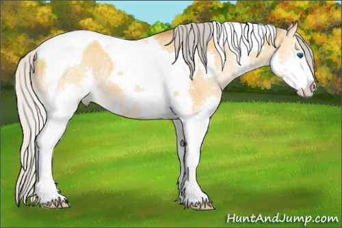 Horse Color:Silver Buckskin Dun Splash Tobiano 