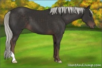 Horse Color:Liver Chestnut Mushroom 