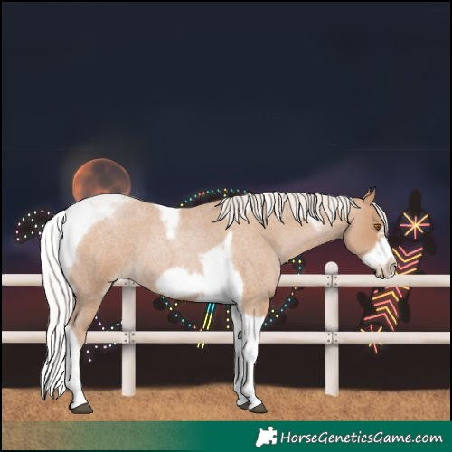 Horse Color:Silver Blue Roan Pearl Tobiano Frame 