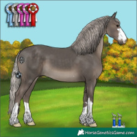 Horse Color:Silver Black 