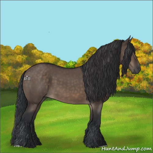 Horse Color:Brown Dun 