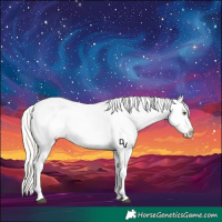 Horse Color:Silver Buckskin Dun Blanket 