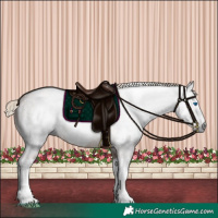 Horse Color:Gray Chocolate Palomino Roan Splash Frame Rabicano