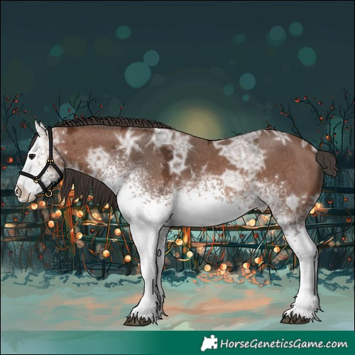 Horse Color:White Spotted Bay Ice 