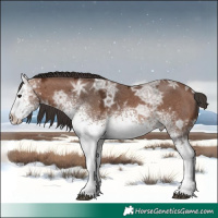 Horse Color:White Spotted Bay Ice 