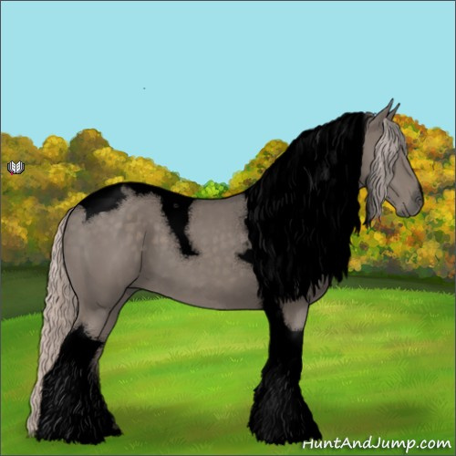Horse Color:Void Silver Black Tobiano 