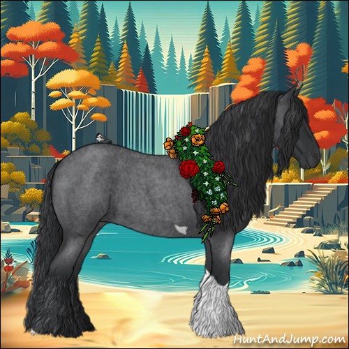 Horse Color:Blue Roan Tobiano