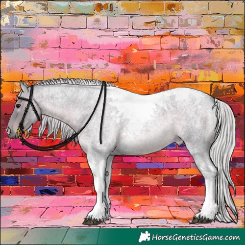 Horse Color:Watercolor Silver Blue Roan Tobiano 
