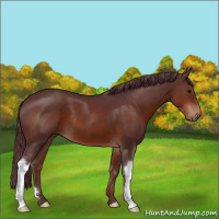 Horse Color:Chocolate Brown 