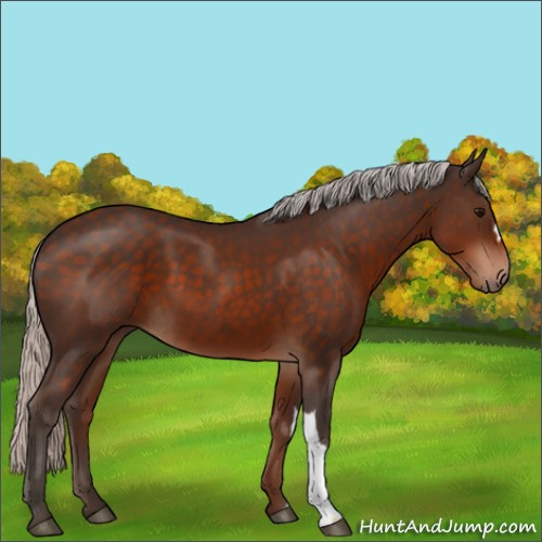 Horse Color:Silver Brown