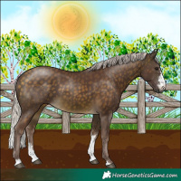 Horse Color:Chocolate Silver Buckskin Sabino