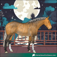 Horse Color:Silver Buckskin Rabicano 