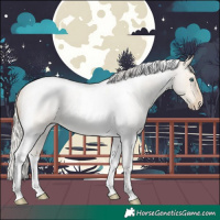 Horse Color:Silver Buckskin Roan Pearl Dun Tobiano Rabicano 