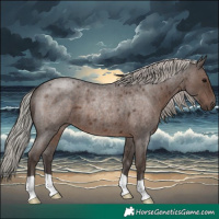 Horse Color:Silver Blue Roan 