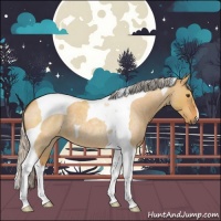 Horse Color:Silver Buckskin Roan Dun Tobiano 
