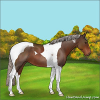 Horse Color:Silver Brown Roan Tobiano 