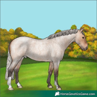 Horse Color:Silver Brown Roan Dun 
