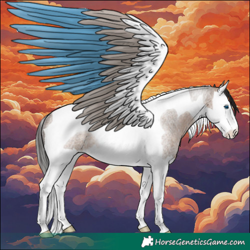 Horse Color:Brown Roan Dun Splash Tobiano Rabicano 