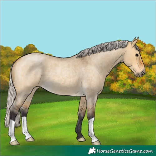 Horse Color:Silver Buckskin Roan Dun 