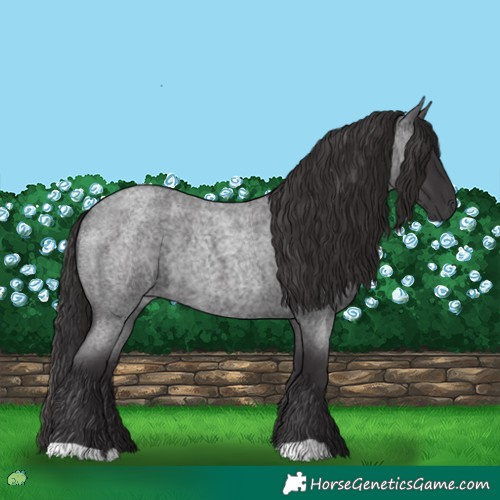 Horse Color:Smoky Blue Roan