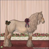 Horse Color:Red Dun Roan 