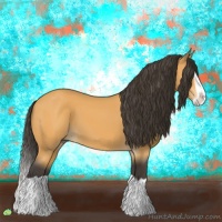 Horse Color:Buckskin Splash 