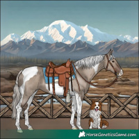 Horse Color:Silver Grullo Tobiano 