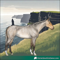 Horse Color:Silver Buckskin Roan Dun Rabicano