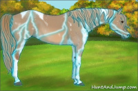 Horse Color:Thunderstruck Red Dun Tobiano 