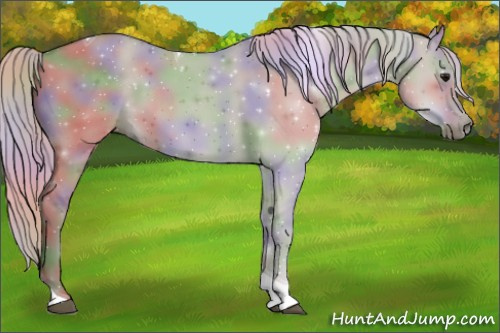 Horse Color:Nacre Silver Grullo Tobiano 
