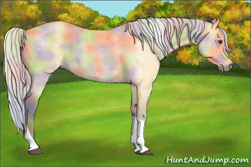 Horse Color:Nacre Silver Buckskin Dun Tobiano 