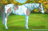 Horse Color:Thunderstruck Chestnut Splash Tobiano 