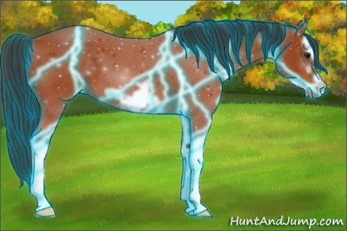 Horse Color:Thunderstruck Brown Splash Frame 