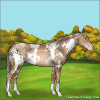 Horse Color:White Spotted Liver Chestnut Pearl 